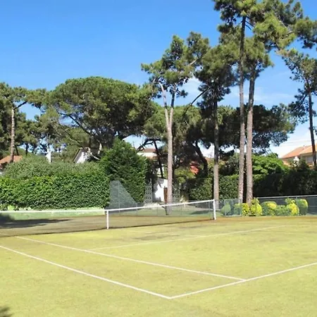 Family Dream * Colares